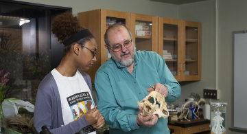 Dr. 布坎南和学生观察熊的头骨